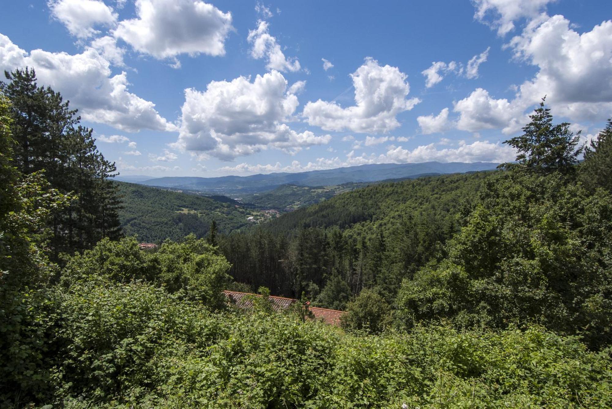 Borgo Tramonte Otel Pratovecchio Dış mekan fotoğraf