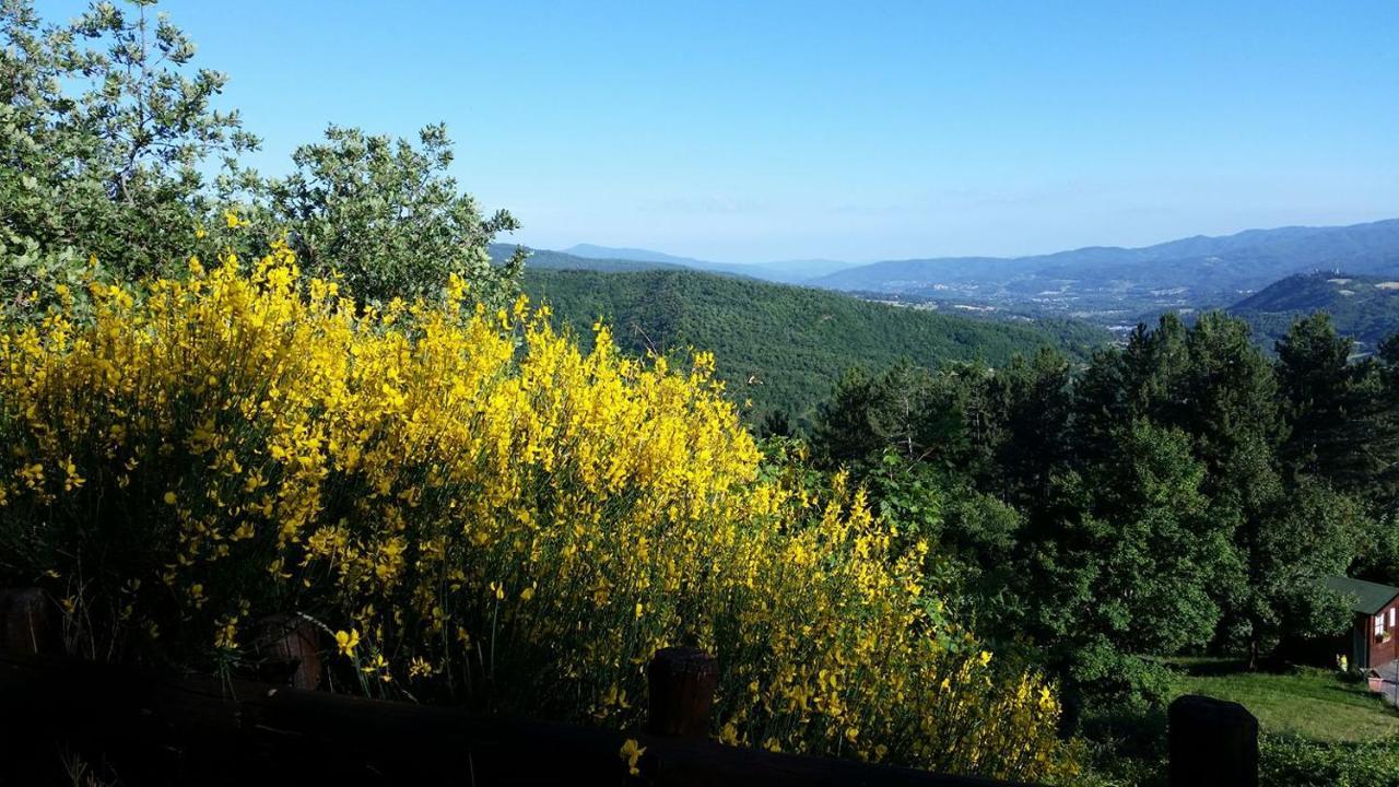 Borgo Tramonte Otel Pratovecchio Dış mekan fotoğraf