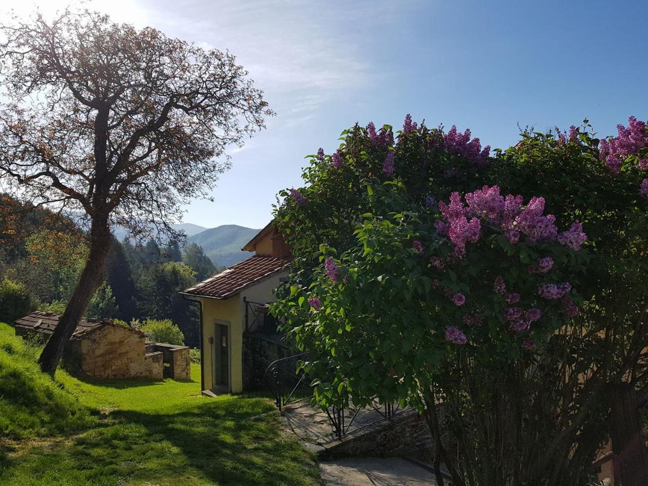 Borgo Tramonte Otel Pratovecchio Dış mekan fotoğraf