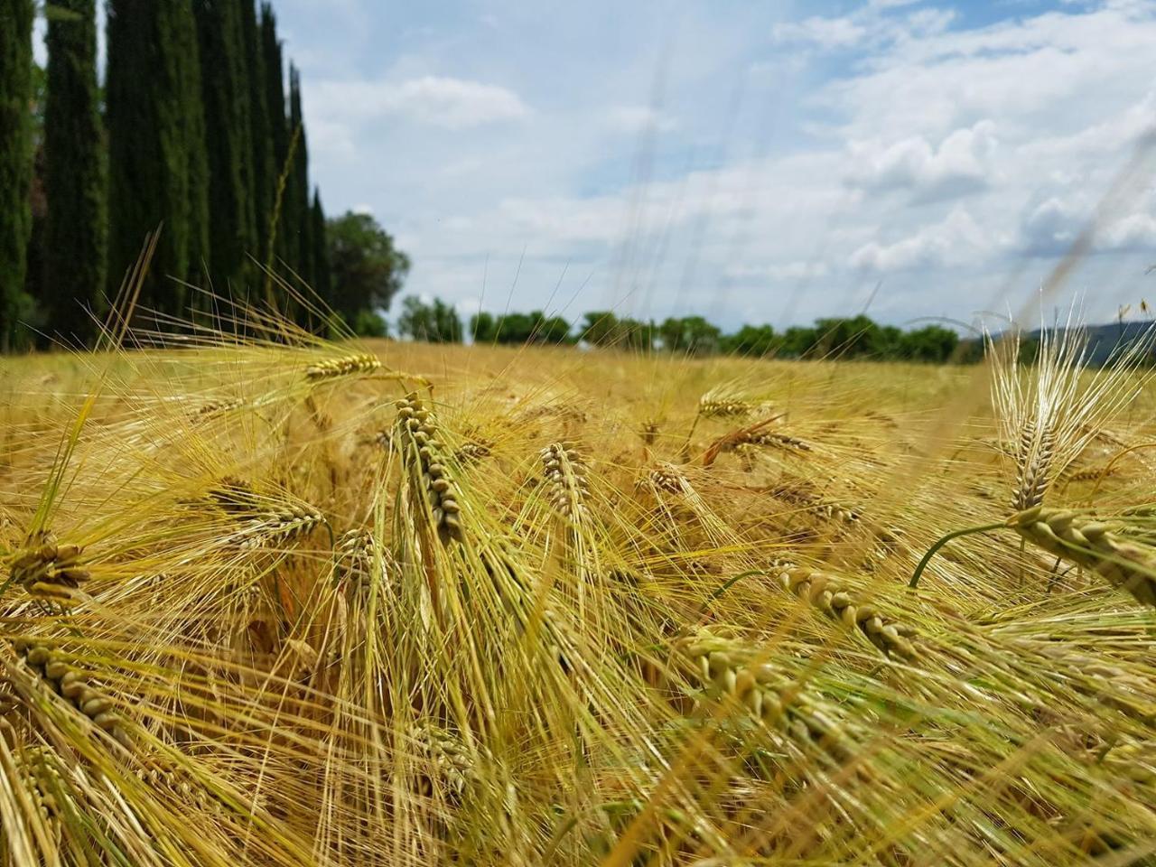 Borgo Tramonte Otel Pratovecchio Dış mekan fotoğraf